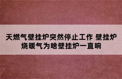 天燃气壁挂炉突然停止工作 壁挂炉烧暖气为啥壁挂炉一直响